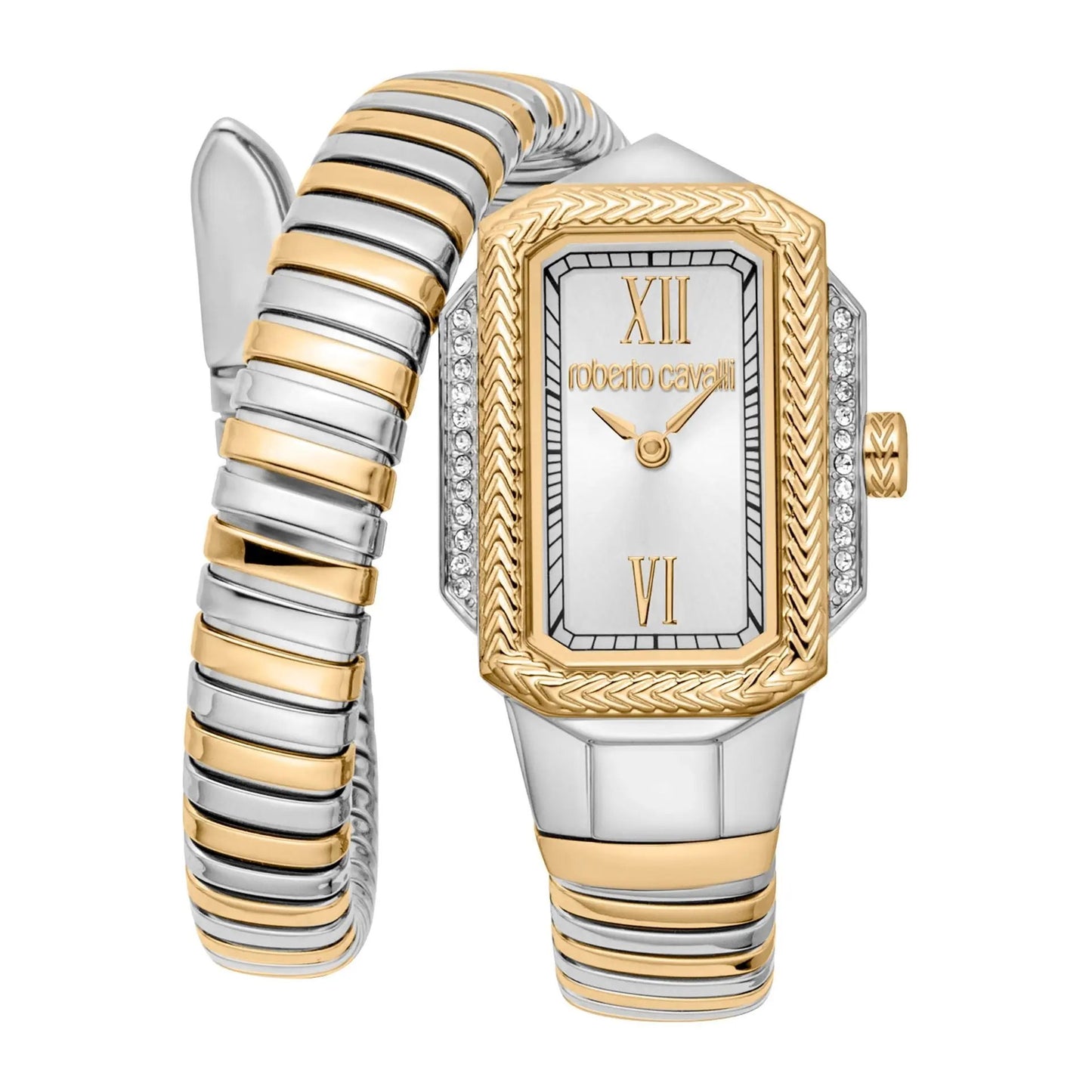 Roberto Cavalli Montres - Tendance