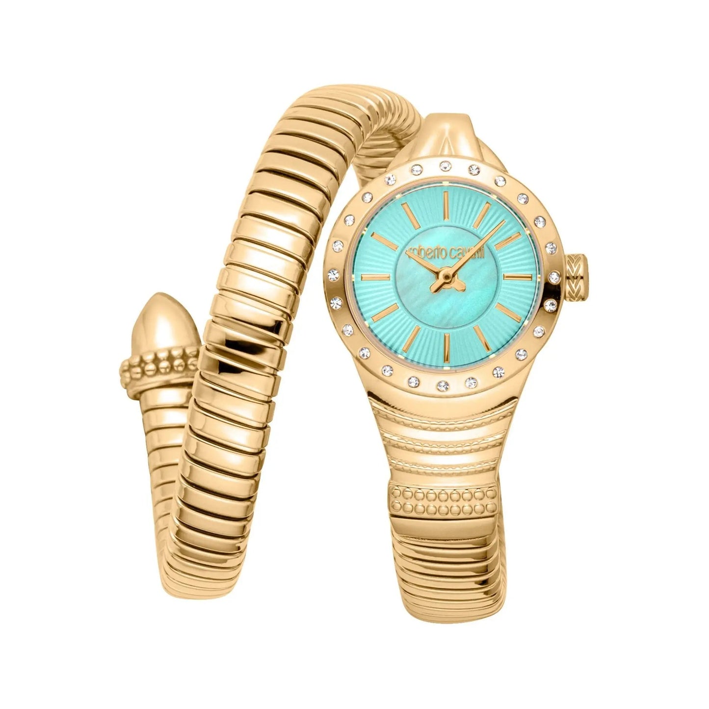Roberto Cavalli Montres - Tendance