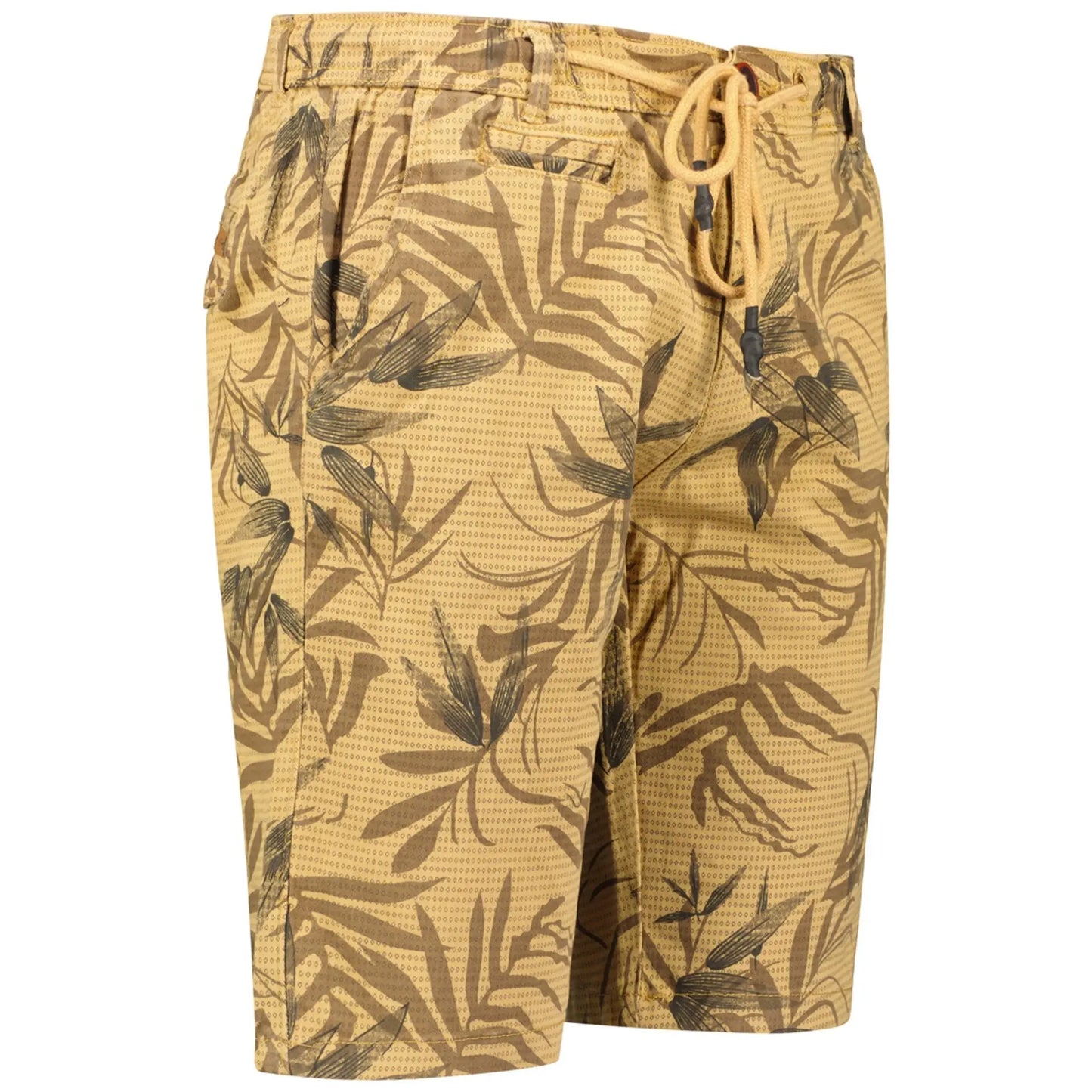 Geographical Norway Bermuda Geographical Norway