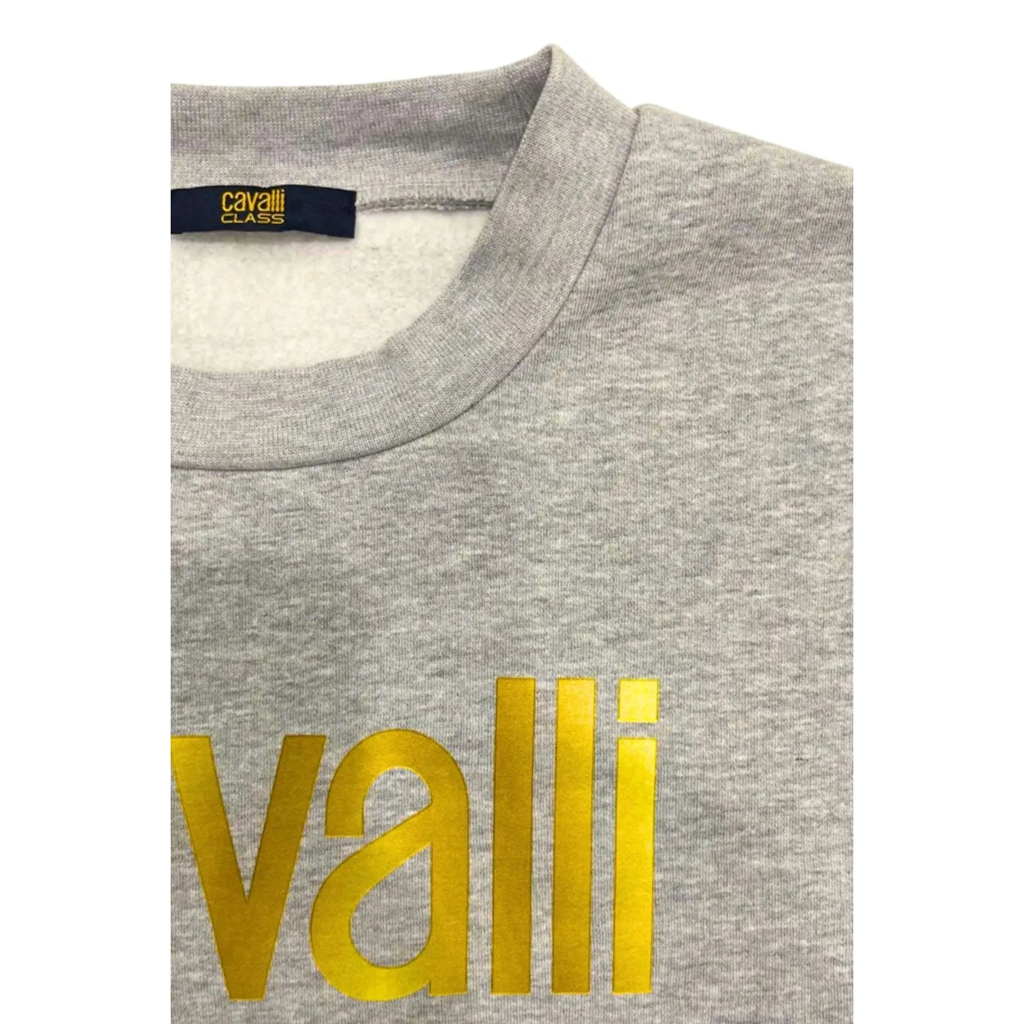 Cavalli Class Sweat-shirts Cavalli Class