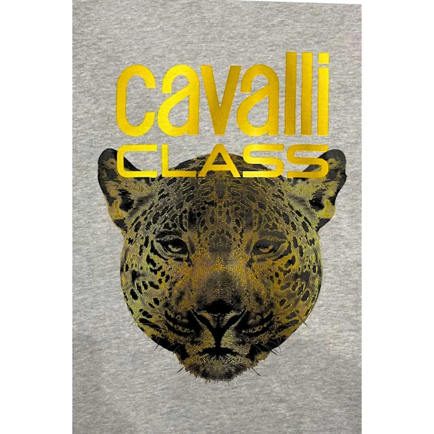 Cavalli Class Sweat-shirts Cavalli Class