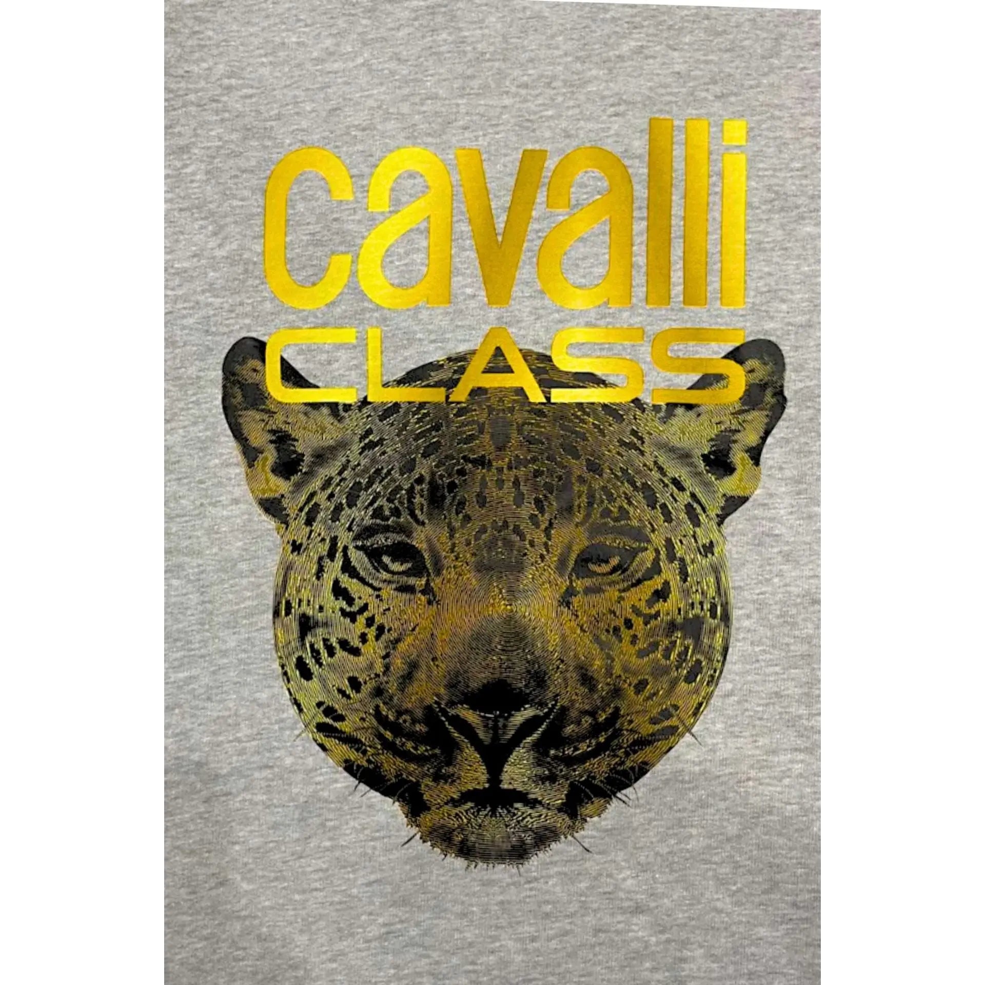Cavalli Class Sweat-shirts Cavalli Class