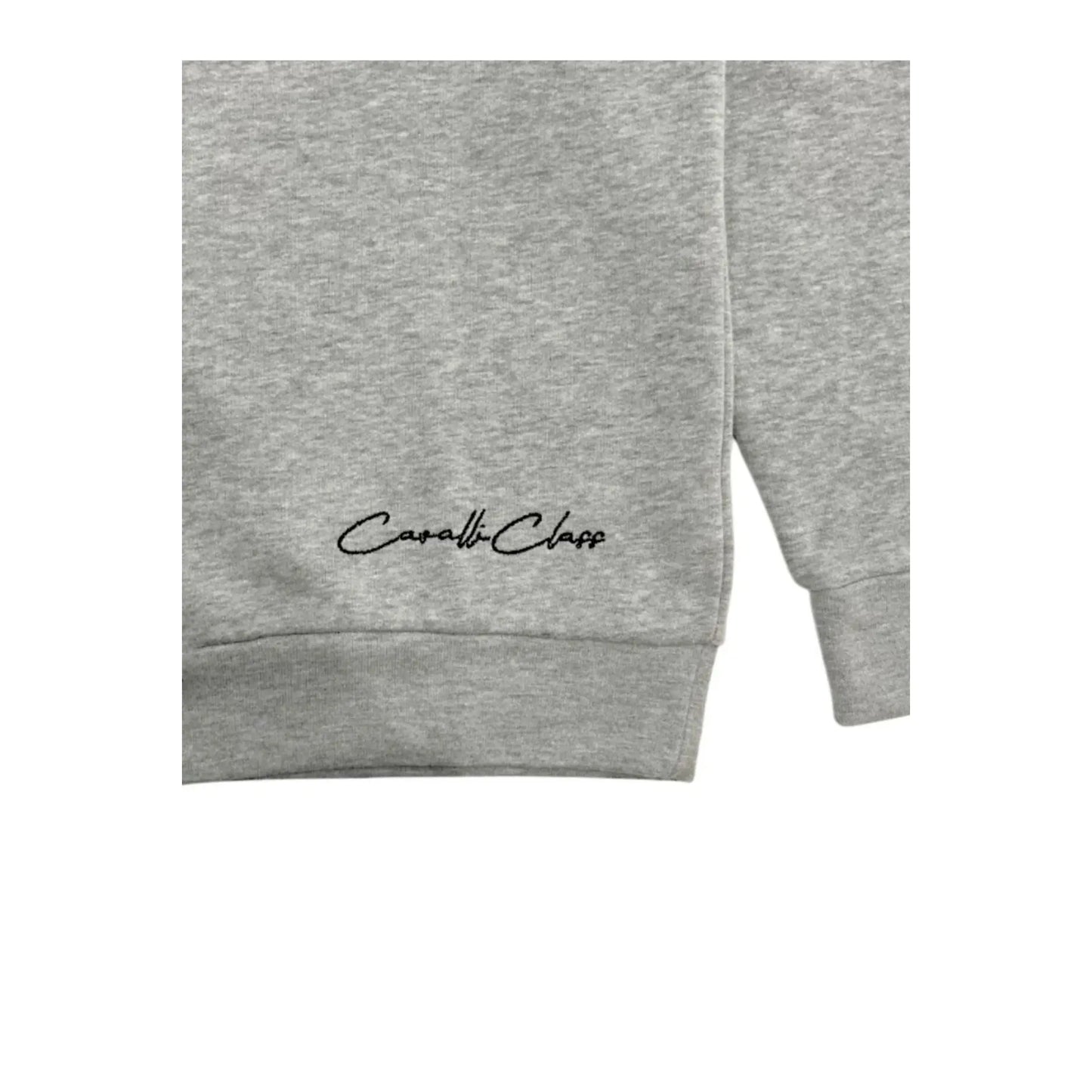Cavalli Class Sweat-shirts Cavalli Class
