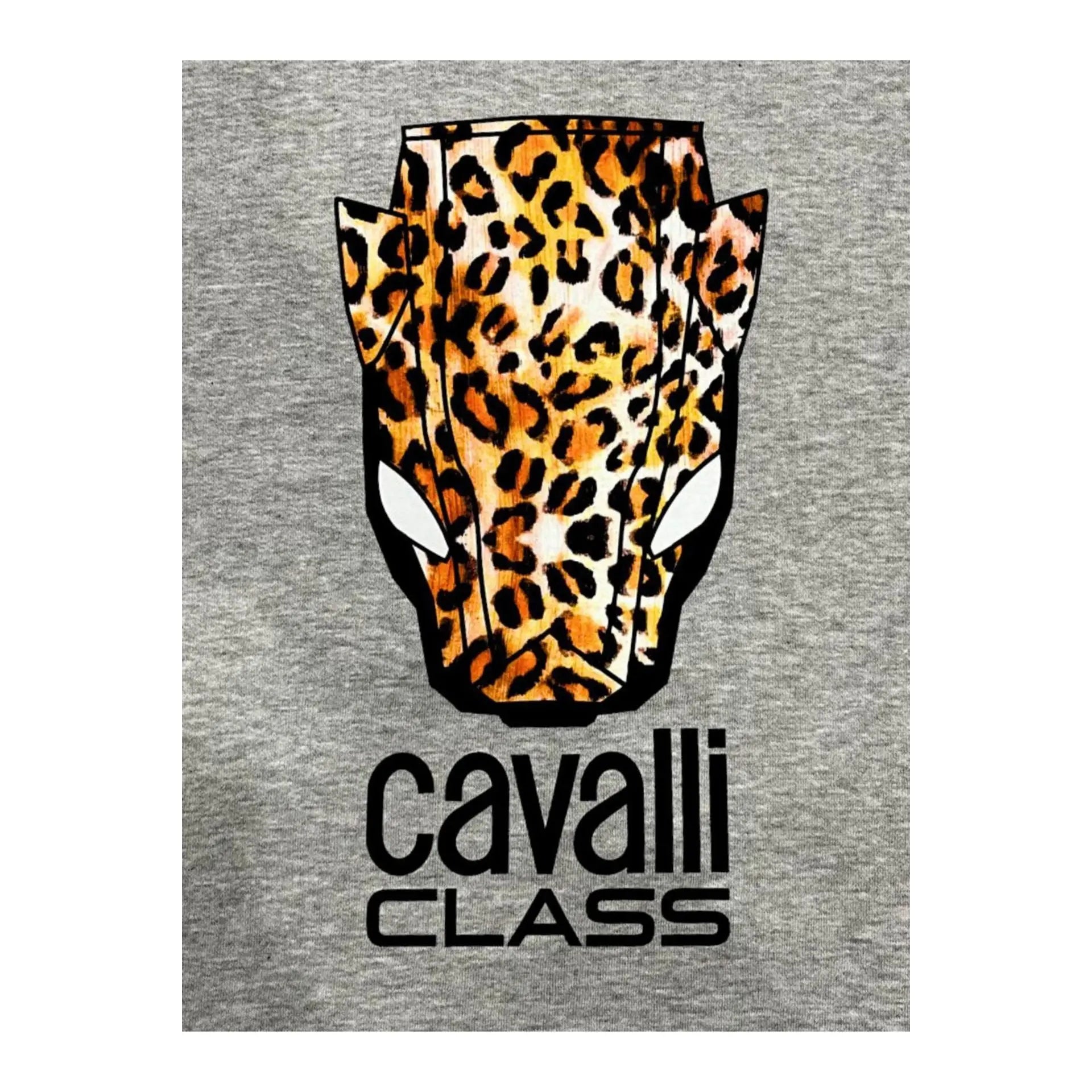Cavalli Class Sweat-shirts Cavalli Class