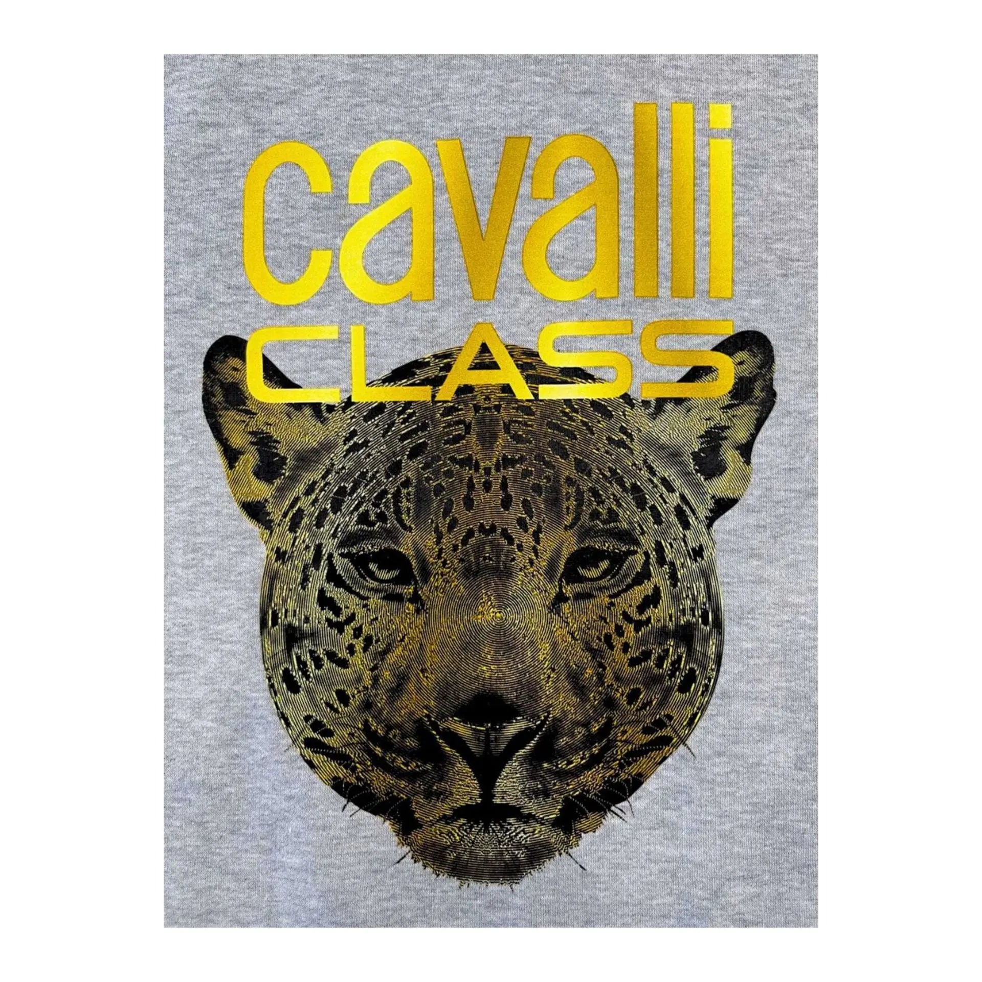 Cavalli Class Sweat-shirts Cavalli Class