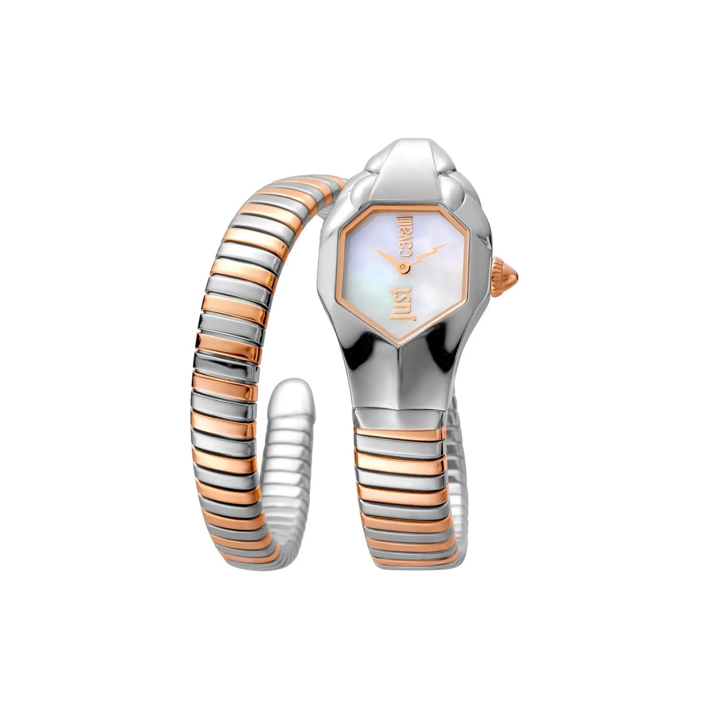 Just Cavalli Montres - Tendance