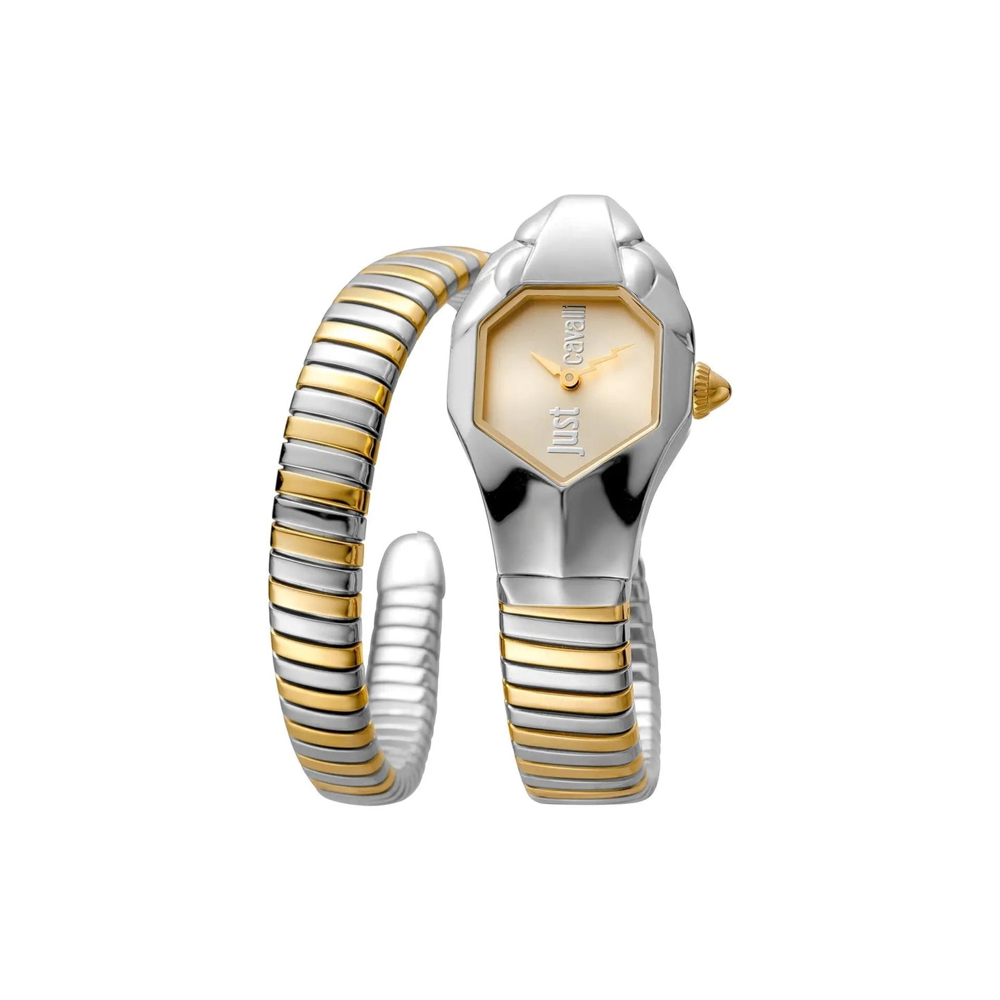 Just Cavalli Montres - Tendance