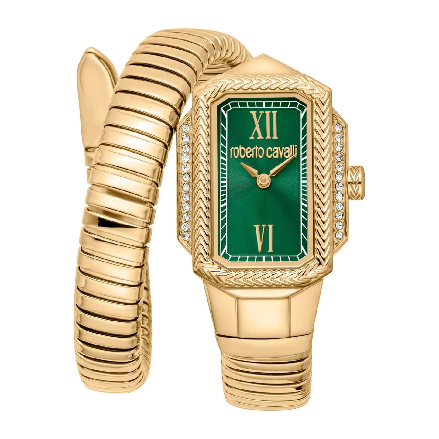 Roberto Cavalli Montres - Tendance