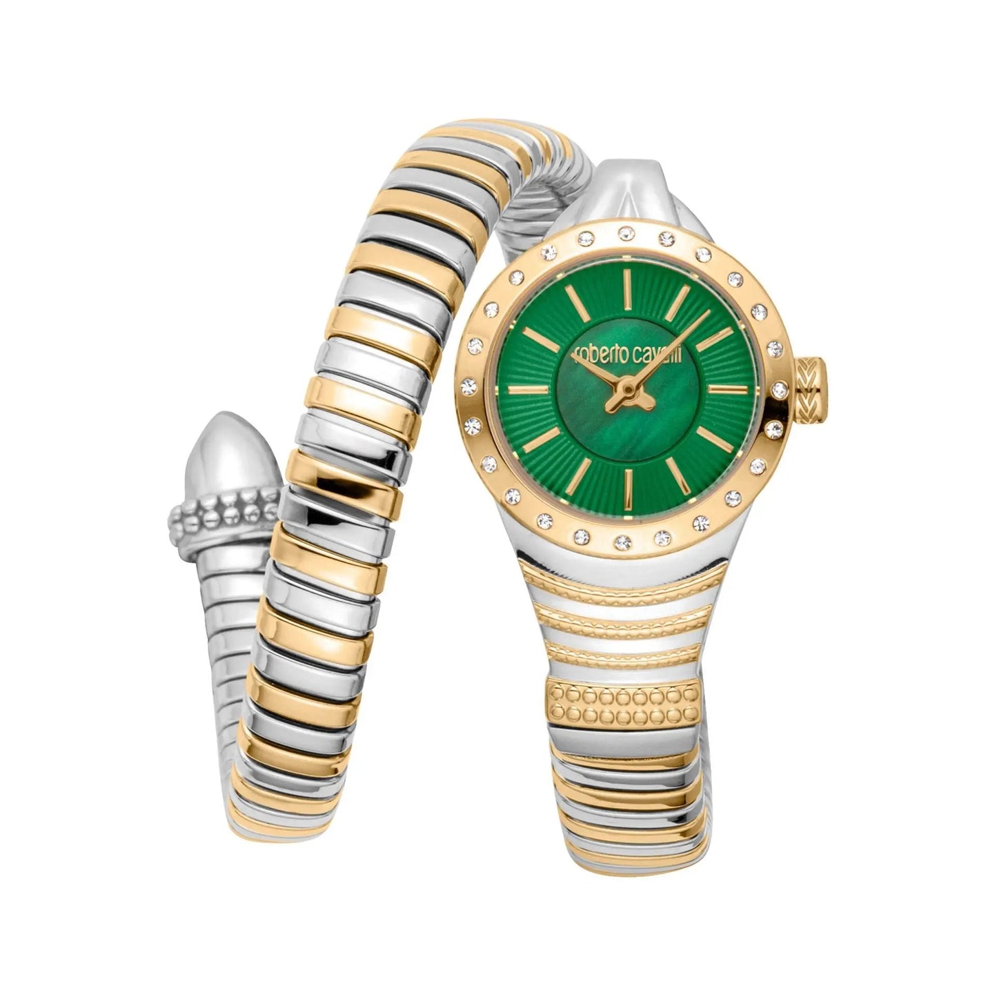 Roberto Cavalli Montres - Tendance