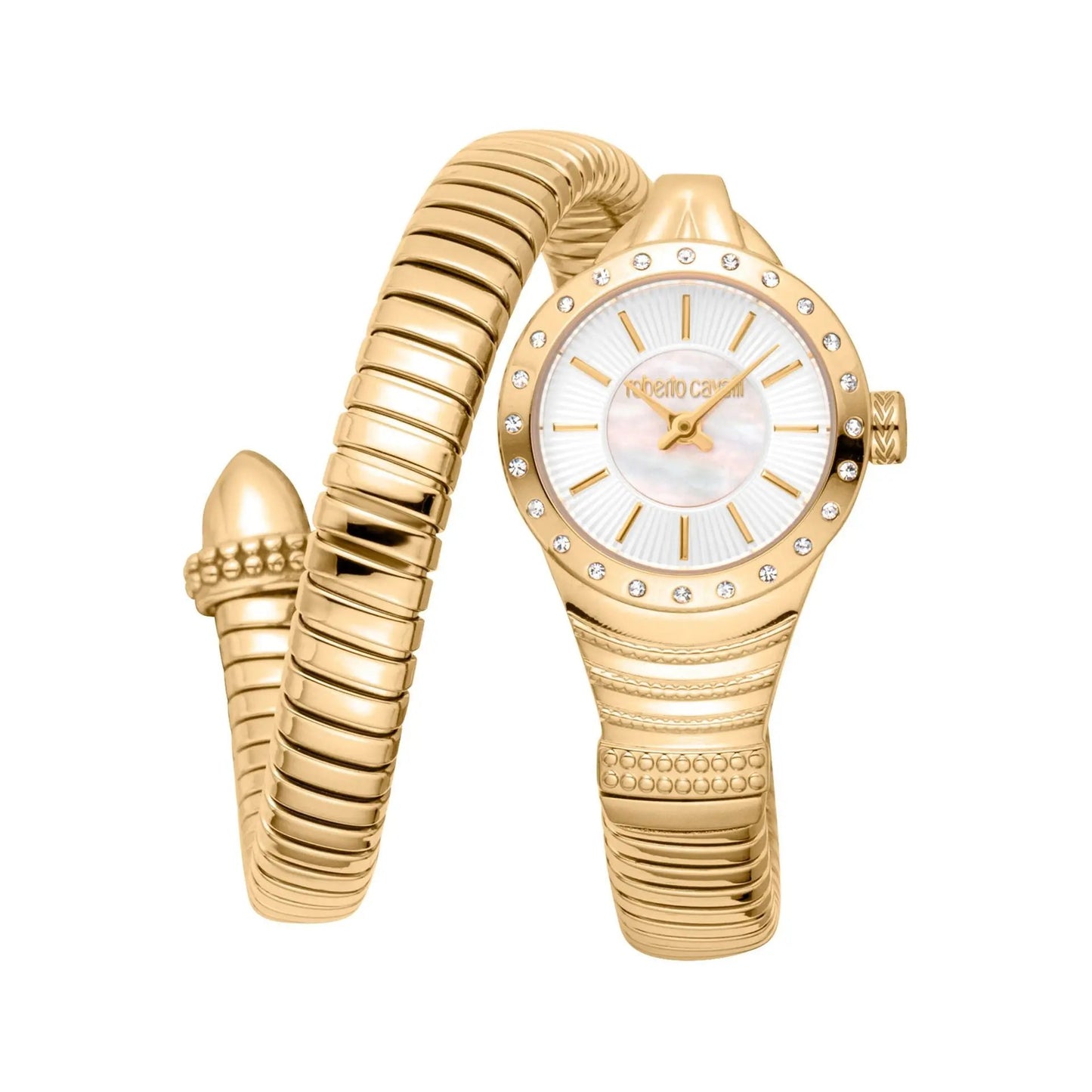 Roberto Cavalli Montres - Tendance